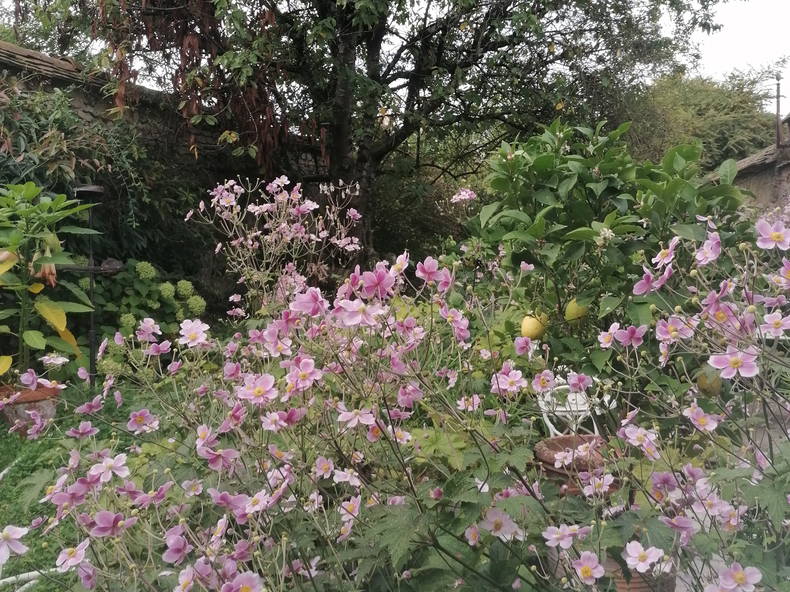 Colocation Thomery 598894-3