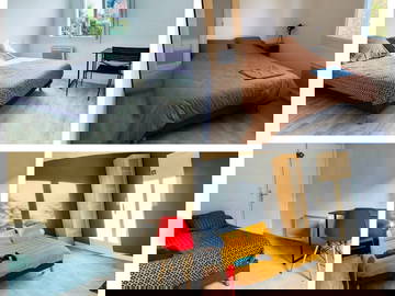 Colocation Albi 662378-1