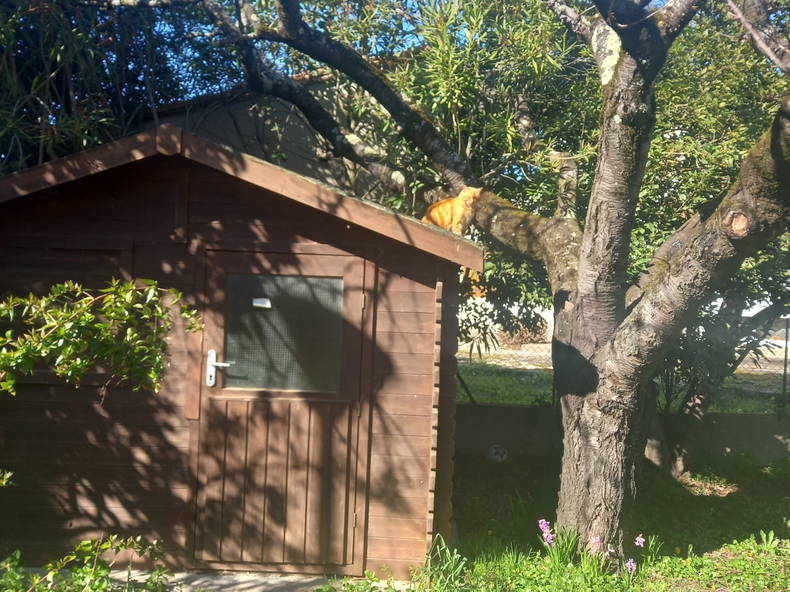 Chambre Chez L'habitant Carcassonne 433650-4