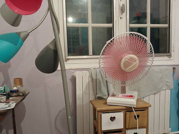 Chambre chez l'habitant à louer à Carcassonne - photo 23 : chambre-23