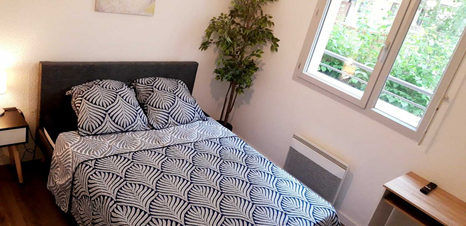 Colocation Toulouse 258559