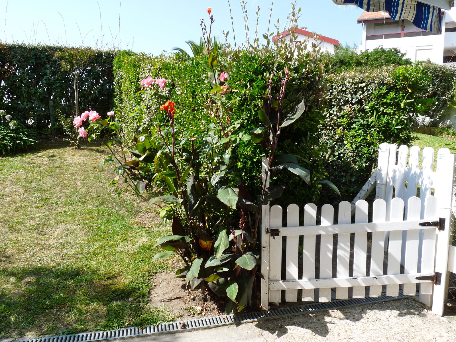 Colocation Biarritz 146092