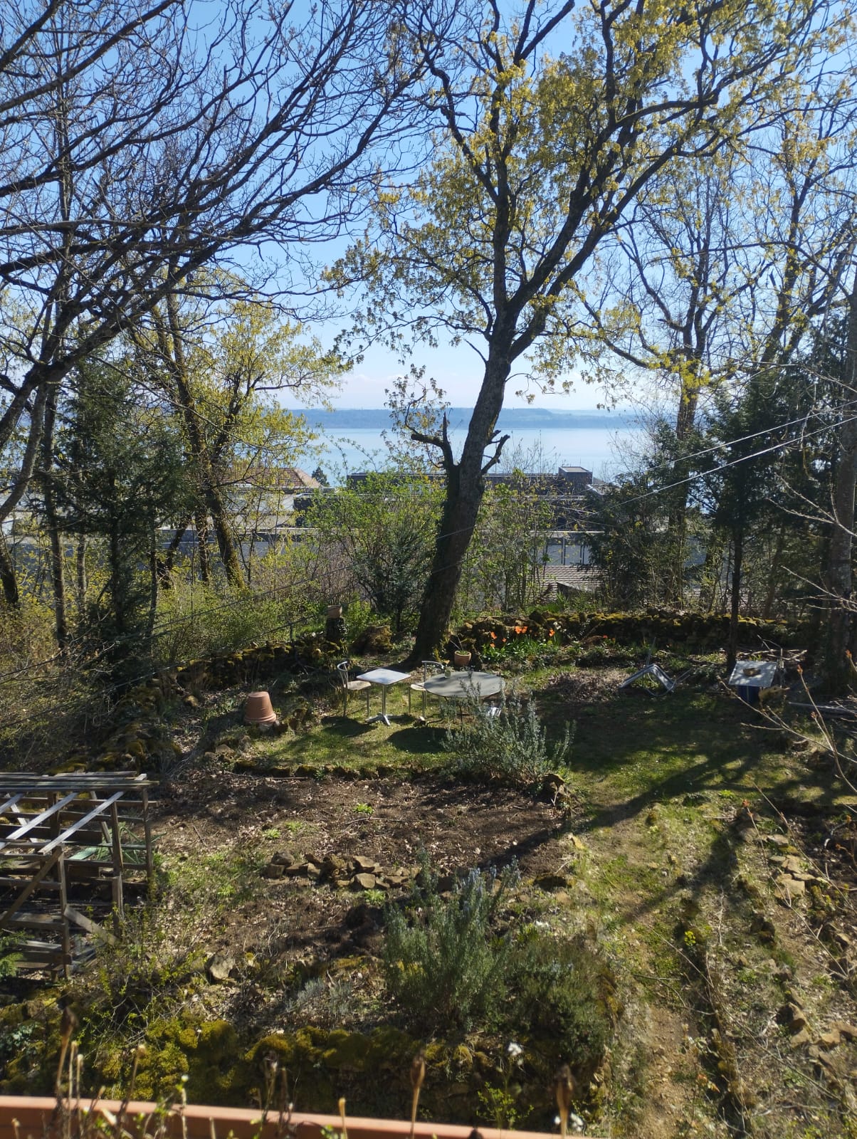 Colocation Neuchâtel 265855