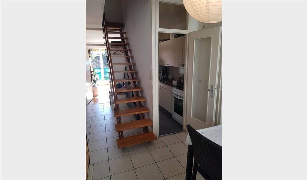 Colocation Carouge 233432