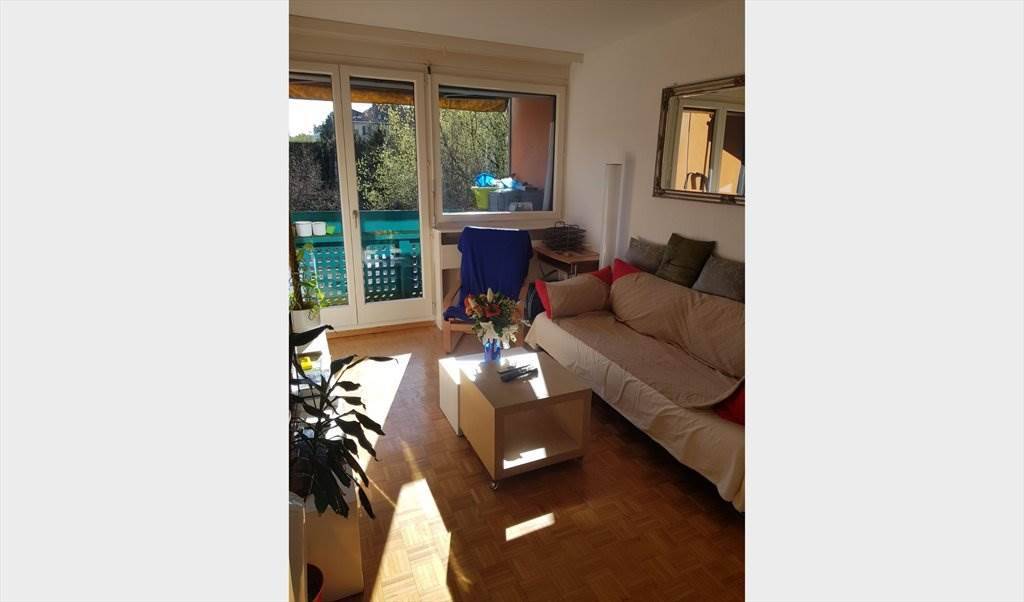 Colocation Carouge 233432