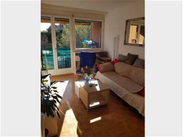 Colocation Carouge 233432-2