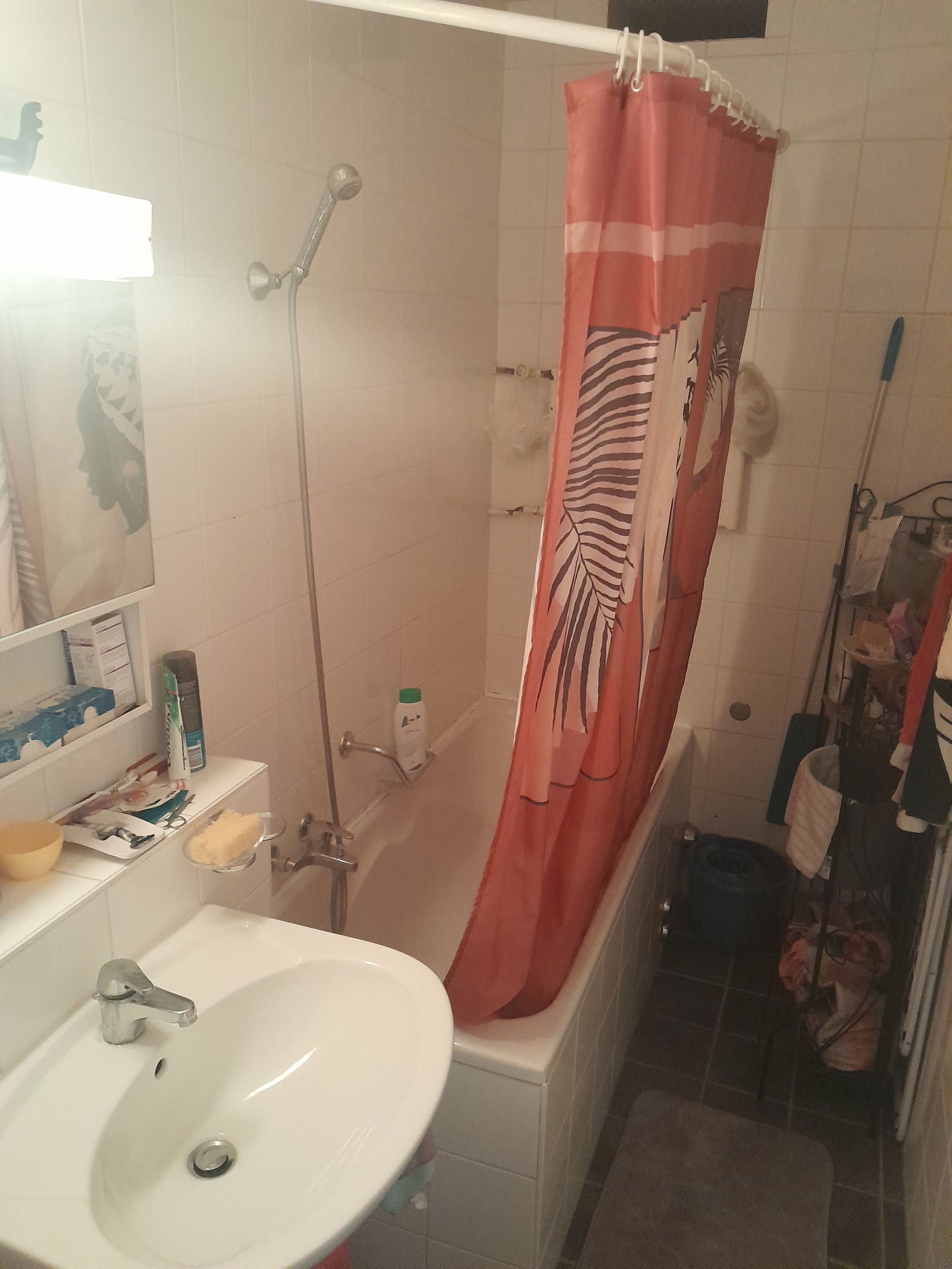 Colocation Carouge 233432