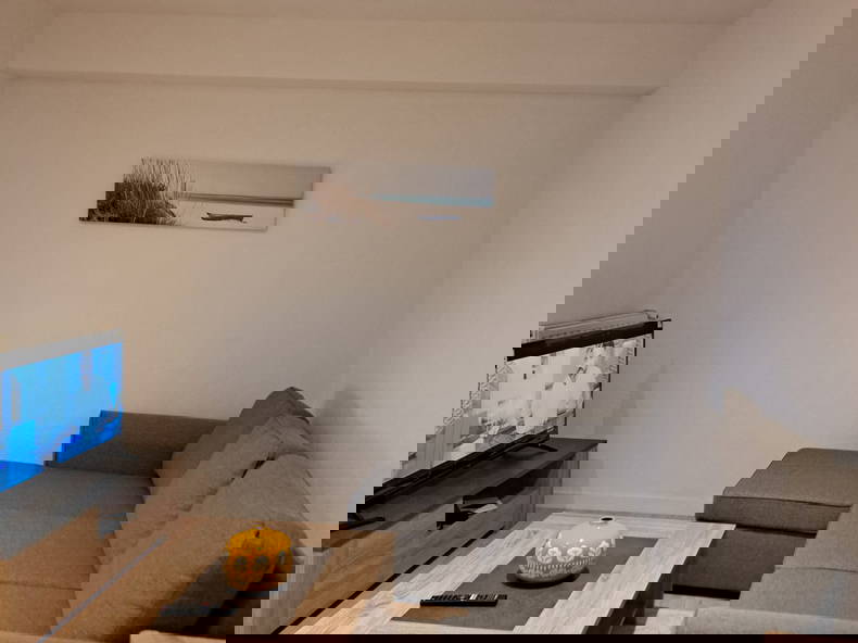 Colocation Fontenay-le-Comte 484576-4