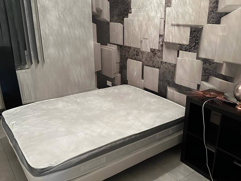 Kolokasie Orléans 289336-4