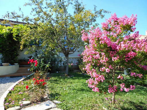 Kolokation Forcalquier 226002-2