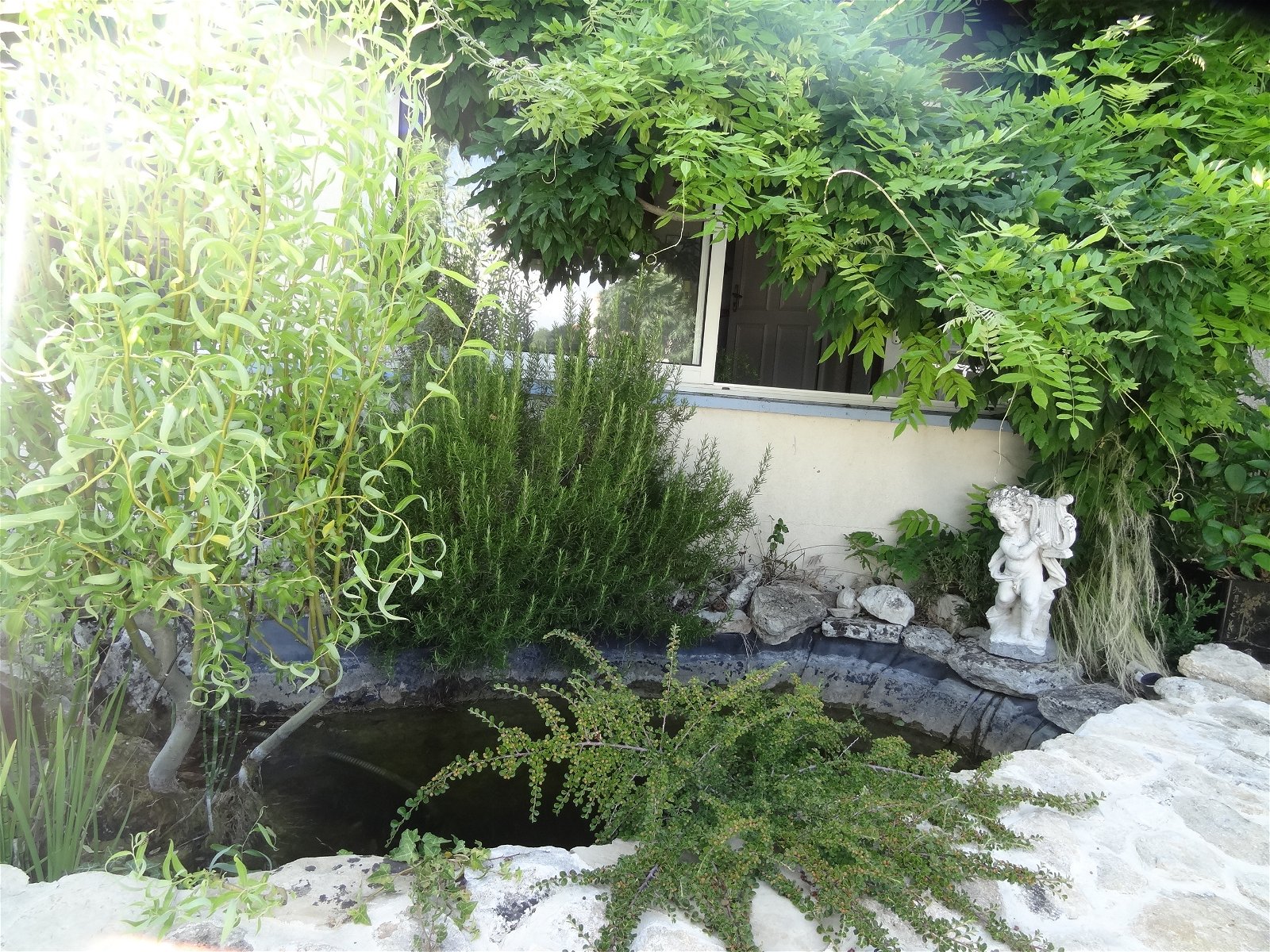 Kolokation Forcalquier 226002
