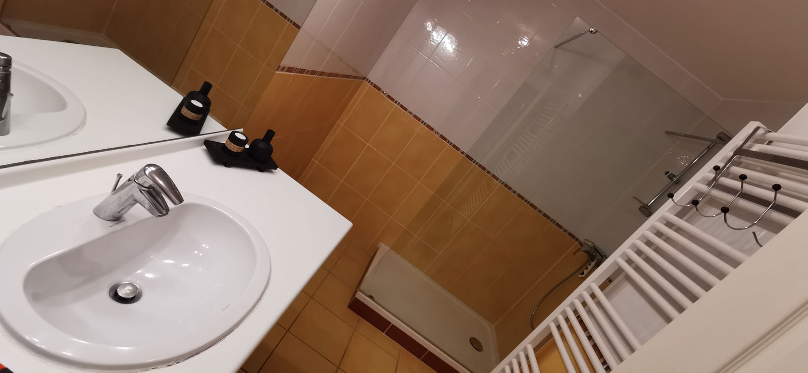 Colocation Ferney-Voltaire 244607