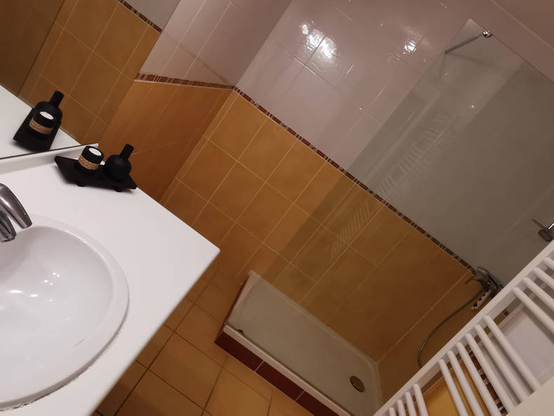 Colocation Ferney-Voltaire 244607-3