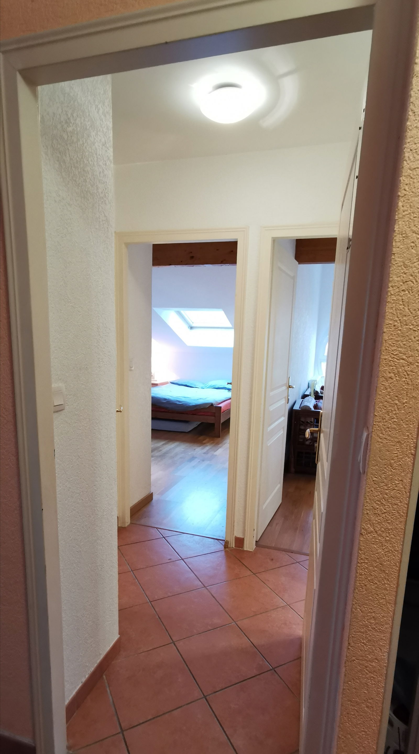 Colocation Ferney-Voltaire 244607