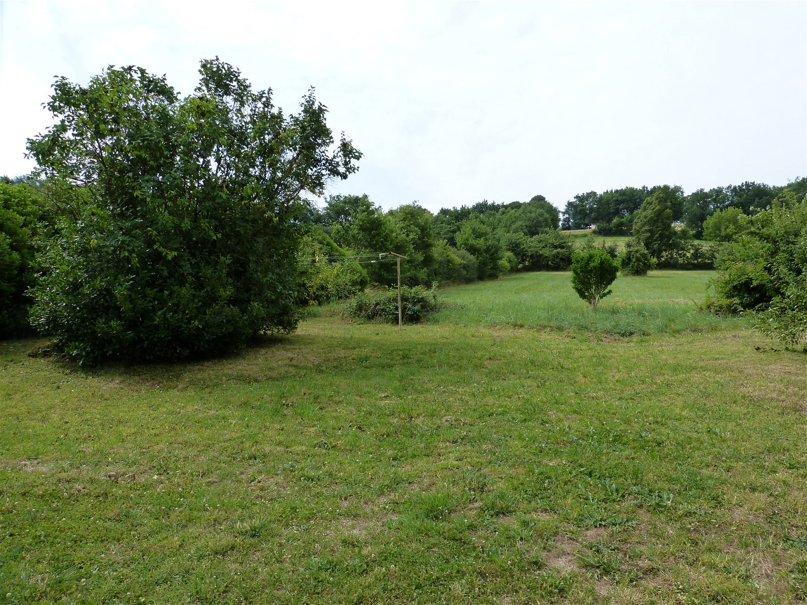 Colocation Castres 53468