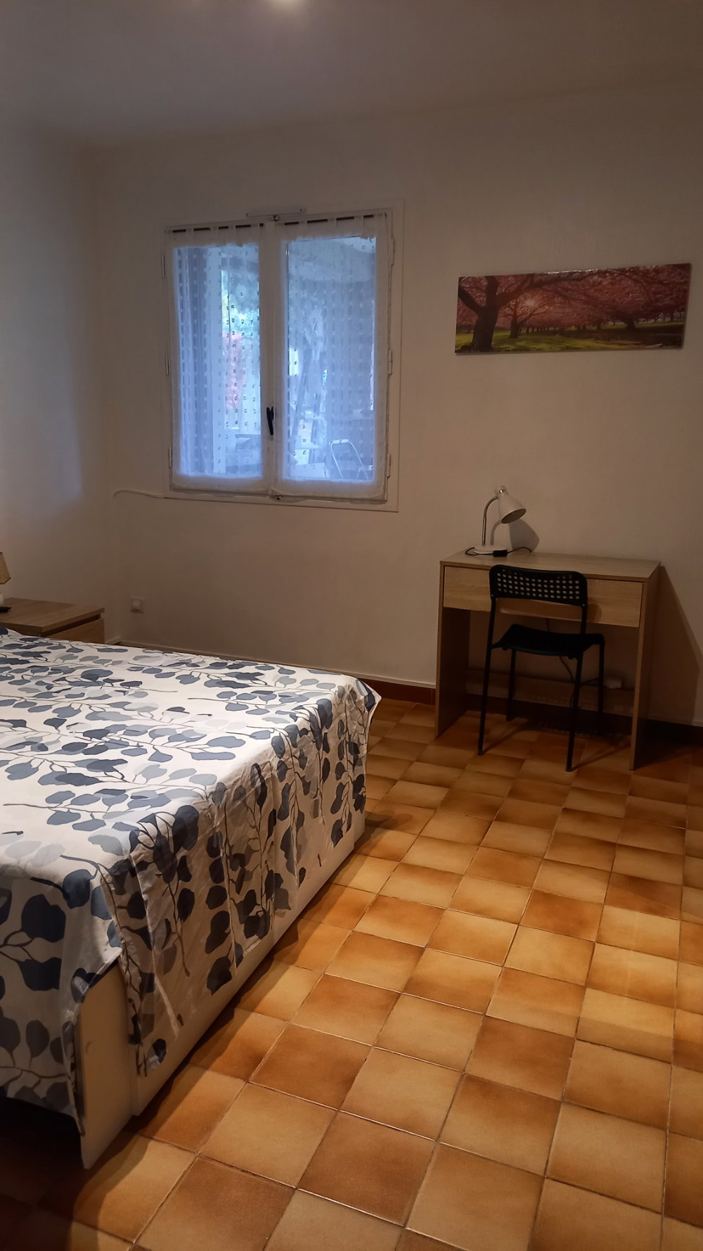 Colocation Carcassonne 668309