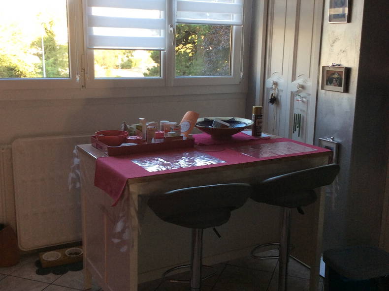 Colocation Seyssinet-Pariset 27147-2