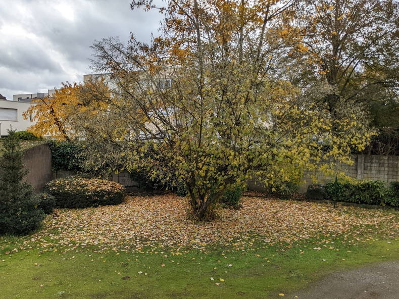 Kolokation Thionville 447076-4