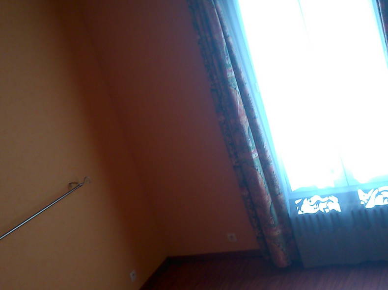 Kolokasie Groslay 68439-4