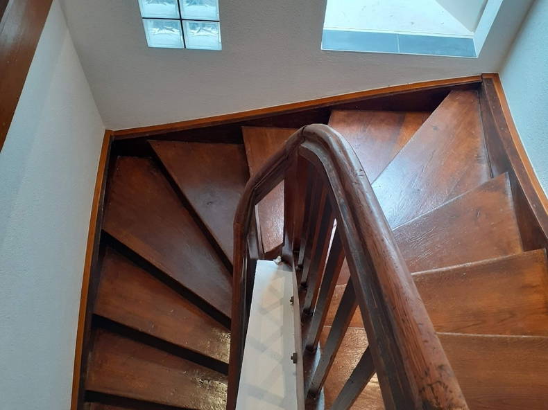 Kolokasie Payerne 258201-1