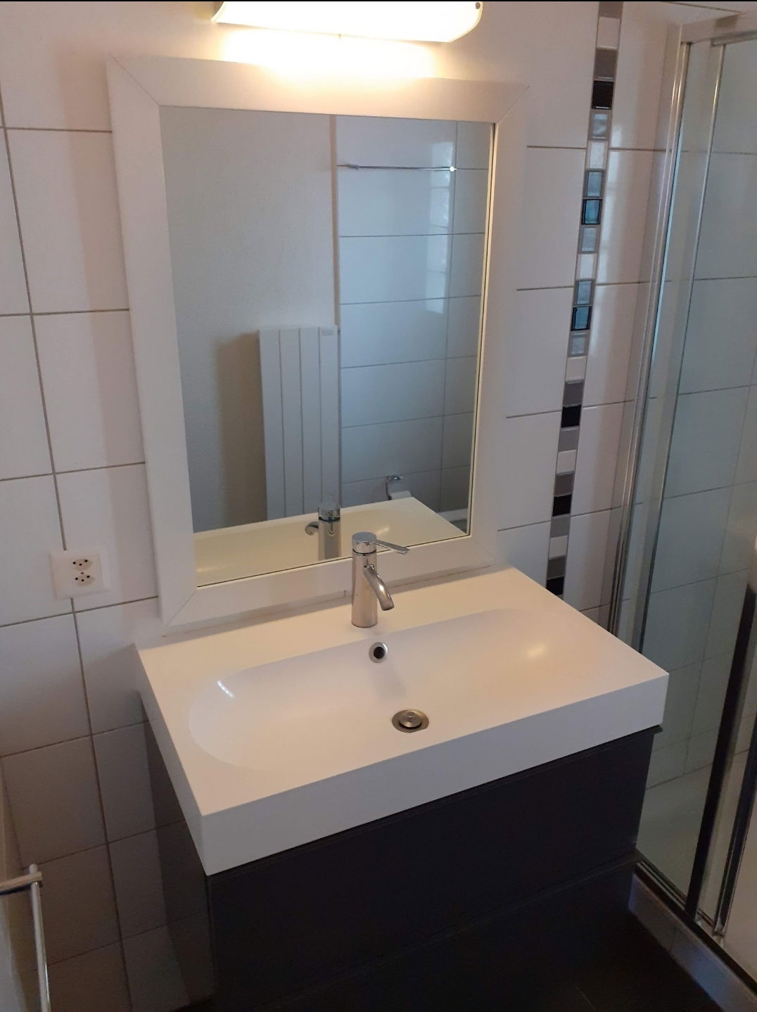 Kolokasie Payerne 258201