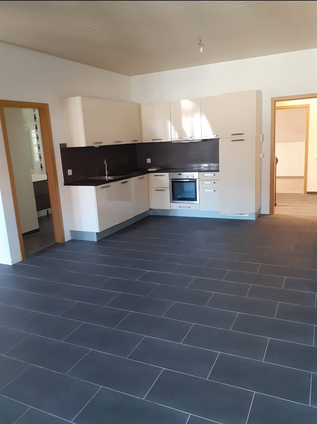Kolokasie Payerne 258201