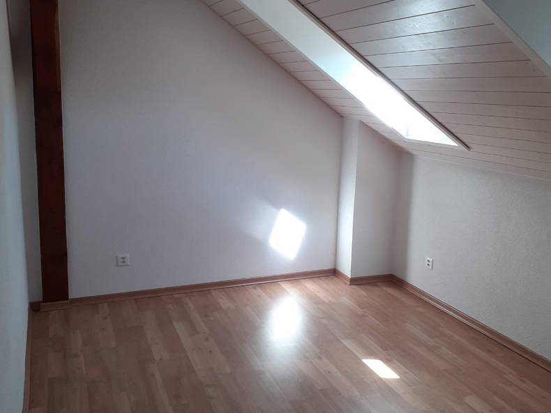 Kolokasie Payerne 258201-5