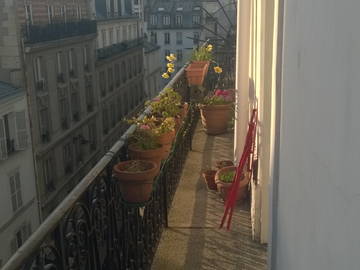 Chambre À Louer Paris 134123