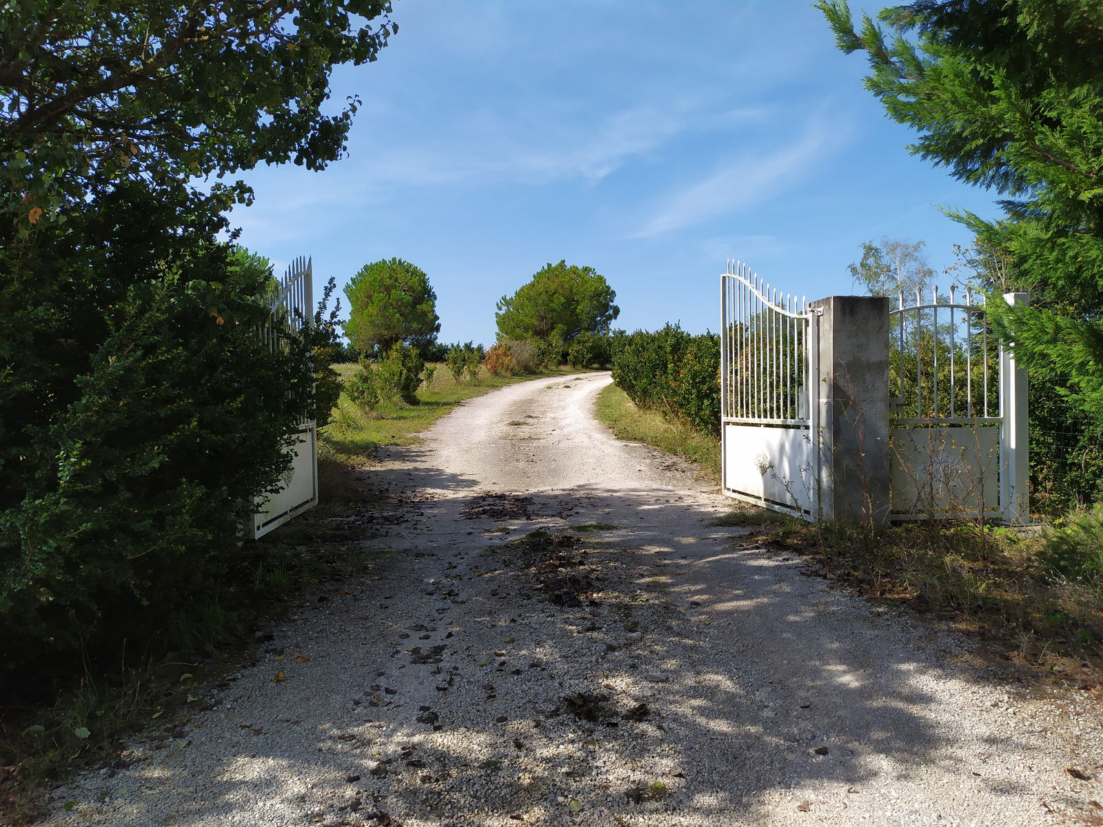 Kolokasie Varennes 255114