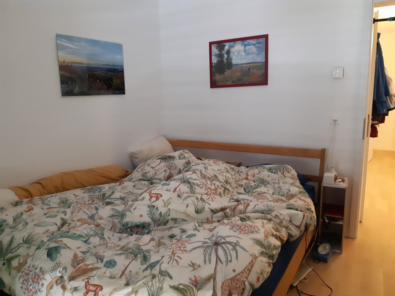 Colocation Carouge 669504