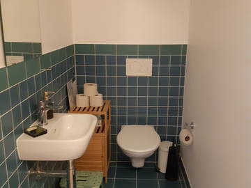 Alojamento partilhado para alugar em Carouge - fotografia 7 : casa de banho-7