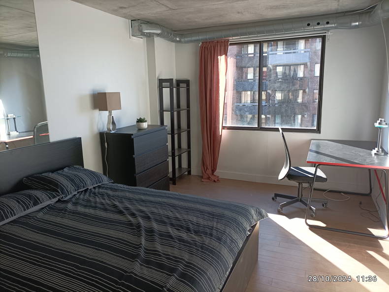 Colocation Montréal 516053-4