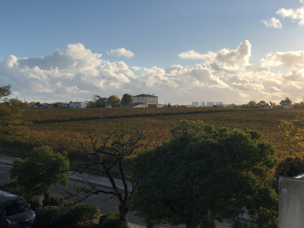 Kolokation Pessac 663064-1