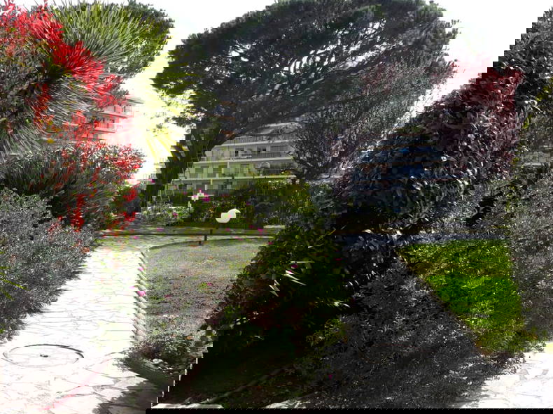 Colocação Antibes 177097-2