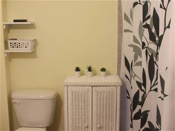 Colocation Montréal 252342-1