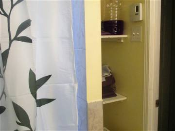 Colocation Montréal 252342-8