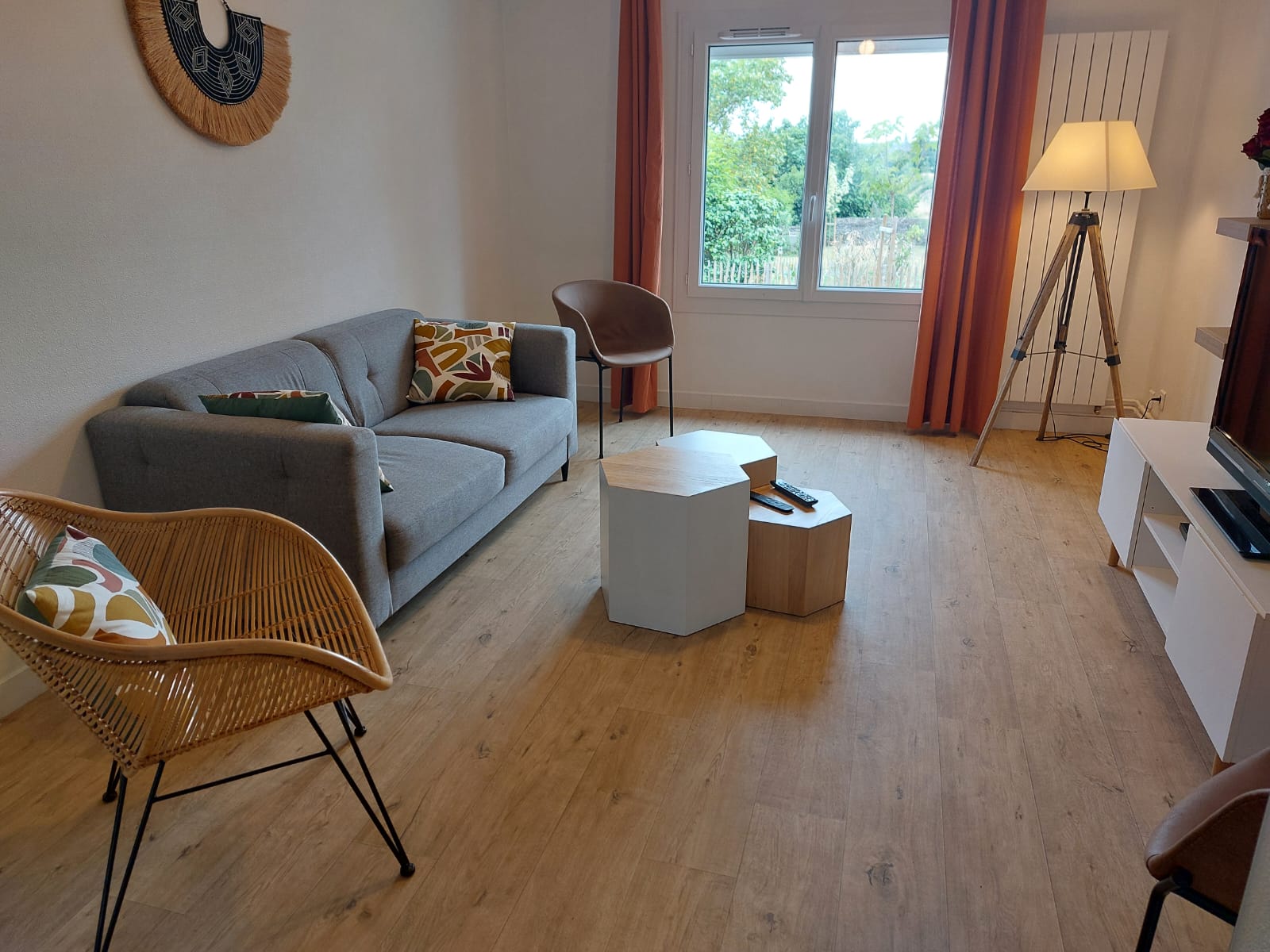 Colocation Sainte-Gemmes-sur-Loire 668014
