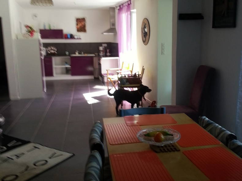 Kolokasie Thiviers 111559-5