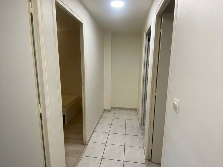 Colocation Stains 263636-5