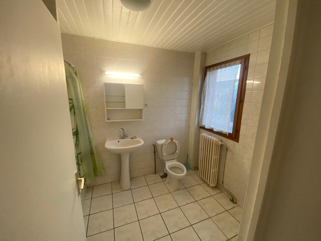 Colocation Stains 263636