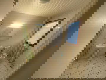 Colocation Stains 263636-6