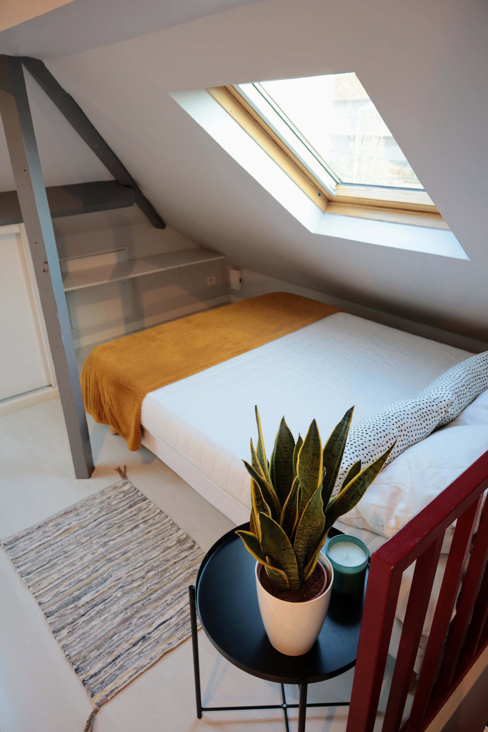 Colocation Lille 540038
