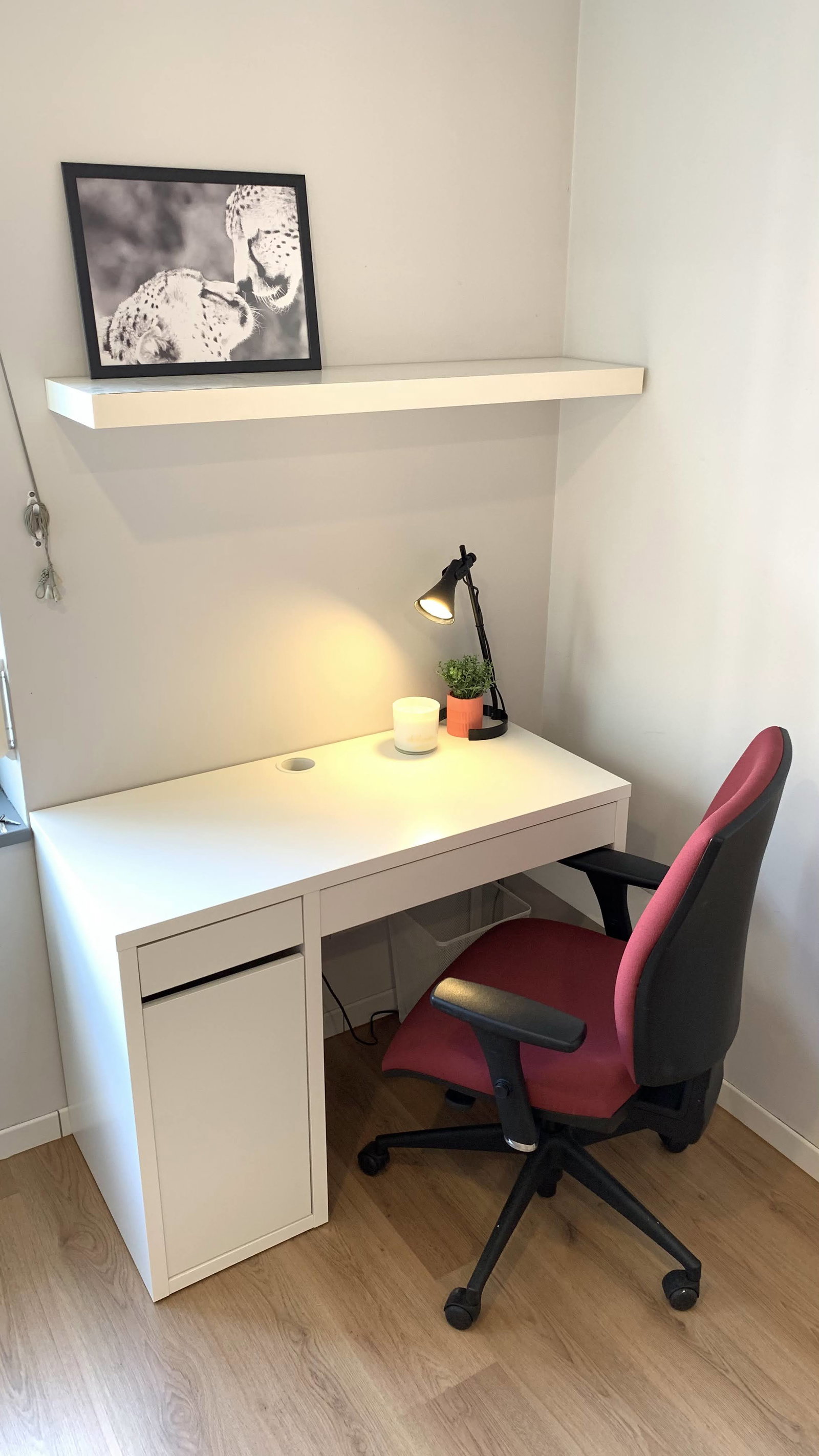 Colocation Lille 540038