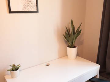 Colocation à louer à Lille - photo 14 : autre pièce-14