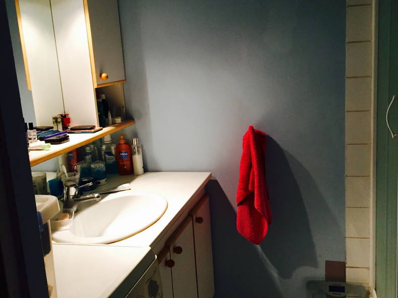 Kolokacja Lyon 91704-2