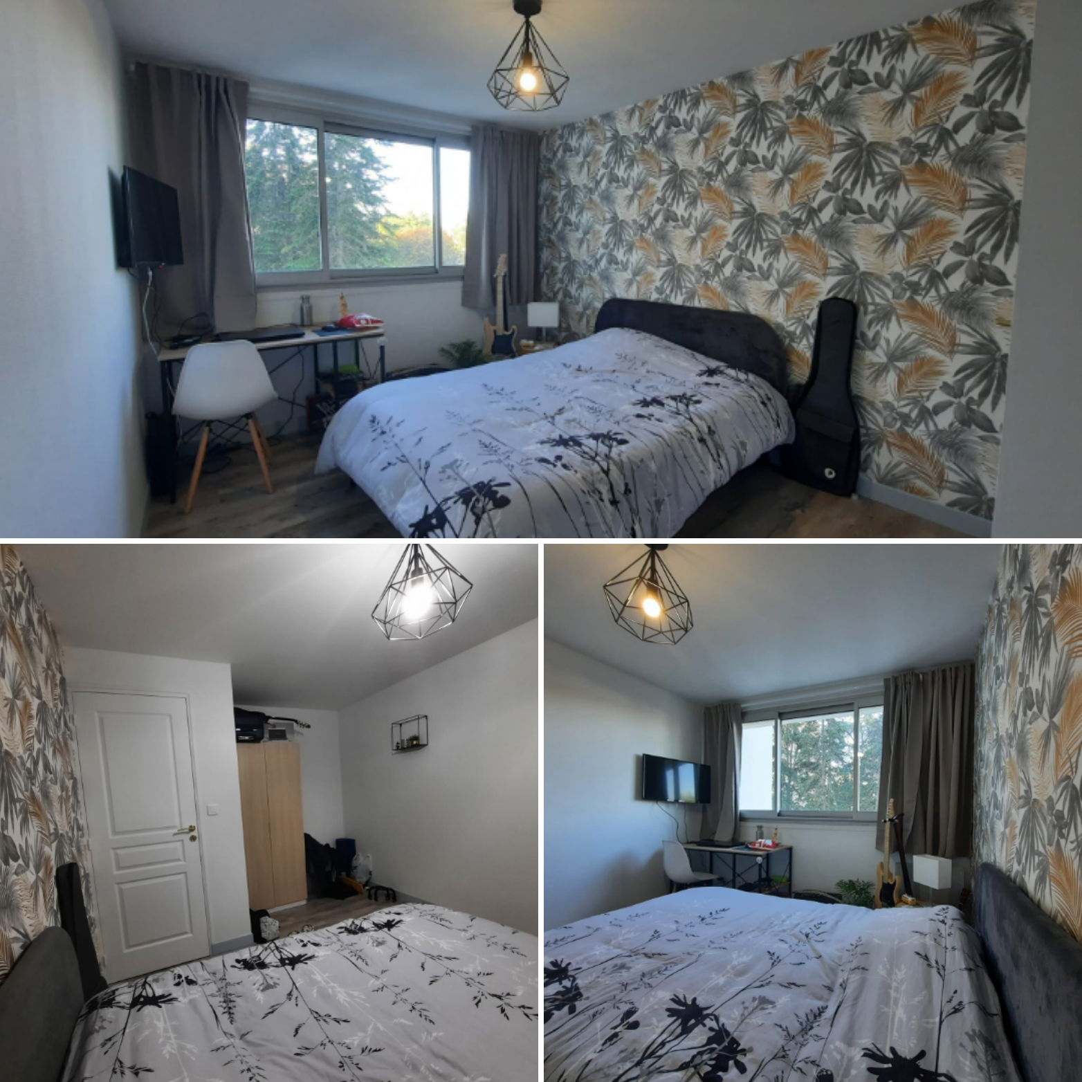 Colocation Niort 255066