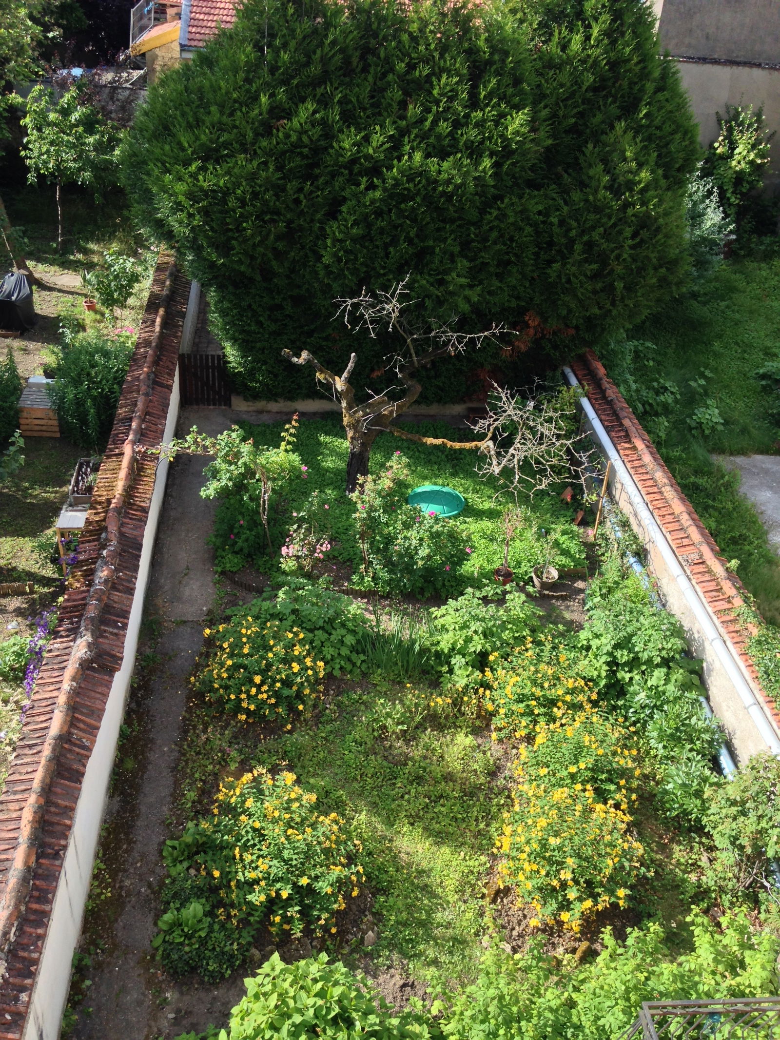 Colocation Nancy 255881