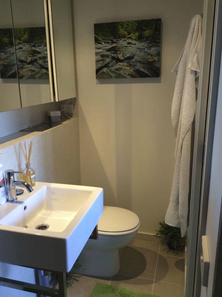 Colocação Hawthorn 117623