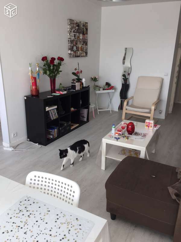 Colocation Lille 130587