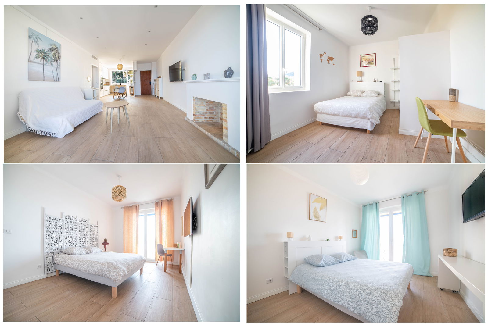 Colocation Ajaccio 262415